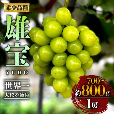 希少なぶどう「雄宝」約700g～800g