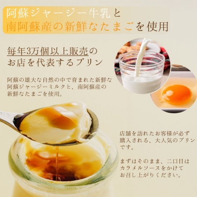 こだわりの濃厚プリン2種8個セット