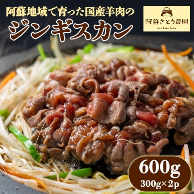 阿蘇地域で生産した貴重な国産羊肉のジンギスカン 600g(300g×2パック)