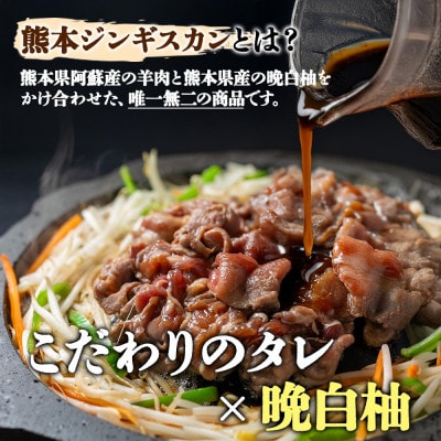 阿蘇地域で生産した貴重な国産羊肉のジンギスカン 600g(300g×2パック)