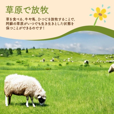 阿蘇地域で生産した貴重な国産羊肉のジンギスカン 600g(300g×2パック)