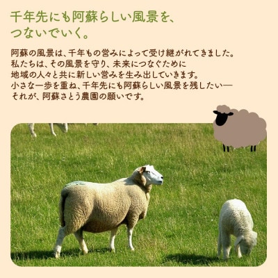 阿蘇地域で生産した貴重な国産羊肉のジンギスカン 600g(300g×2パック)