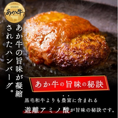 大満足!阿蘇あか牛詰め合わせセット
