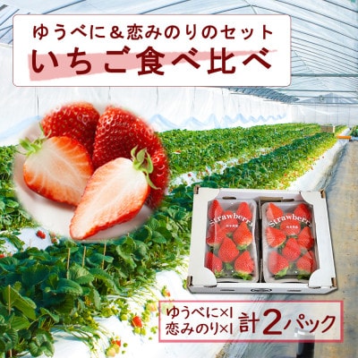 熊本阿蘇のいちご食べ比べ各1パックセット(ゆうべに・恋みのり)