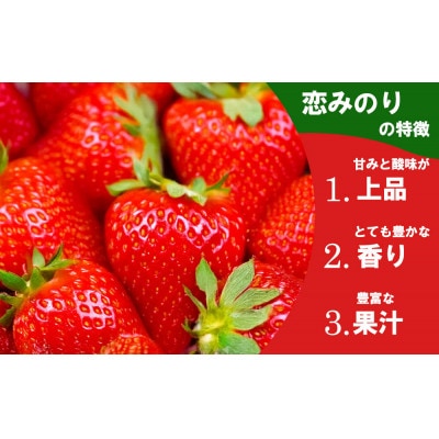 熊本阿蘇のいちご食べ比べ各1パックセット(ゆうべに・恋みのり)