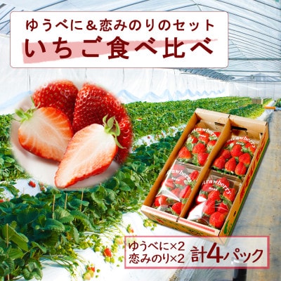 熊本阿蘇のいちご食べ比べ各2パックセット(ゆうべに・恋みのり)