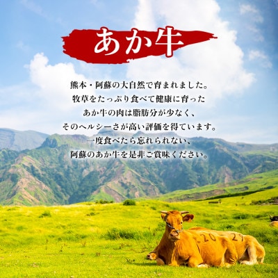 くまもとあか牛のすき焼き肉と焼肉の大満足セット