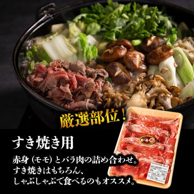 大満足!あか牛いろんな部位をお届け!サーロインステーキ&すき焼き&切り落とし 3種詰合せ