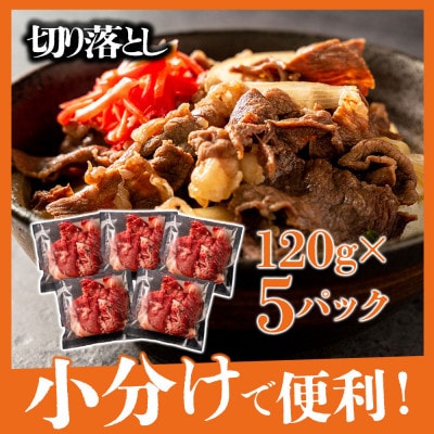 大満足!あか牛いろんな部位をお届け!サーロインステーキ&すき焼き&切り落とし 3種詰合せ