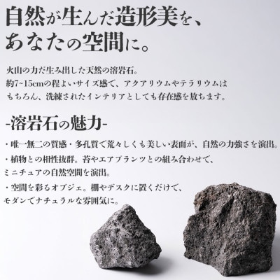 阿蘇溶岩石 サイズはお任せ約3kgセット