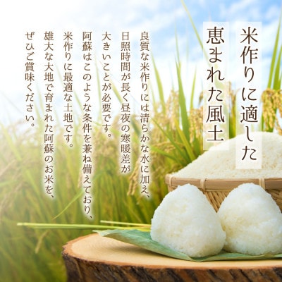 ミルキークイーン5kg (白米)