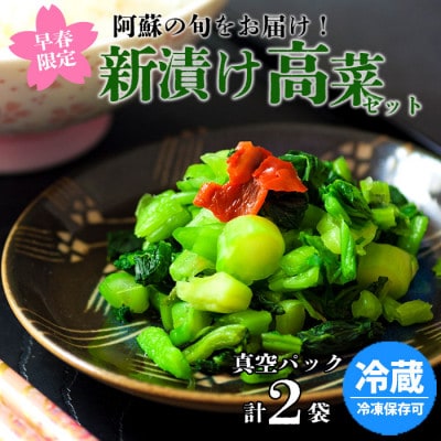 春を彩る 阿蘇の新漬け高菜 約200g×2パック