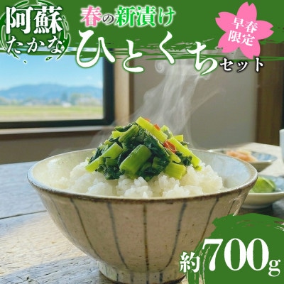 春の阿蘇をお届け!新漬け高菜3種食べ比べ「ひとくち阿蘇」セット