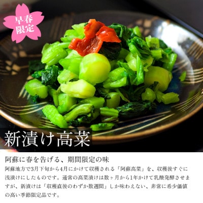 春の阿蘇をお届け!新漬け高菜3種食べ比べ「ひとくち阿蘇」セット