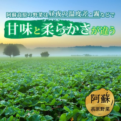 季節のお野菜セットS 旬のお野菜や果物の中から3品を厳選してお届け