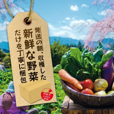 季節のお野菜セットS 旬のお野菜や果物の中から3品を厳選してお届け