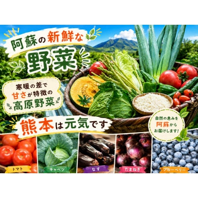 【阿蘇 郷乃舎】野菜ソムリエ上級プロ厳選 農家直送こだわり野菜 6～8品目　