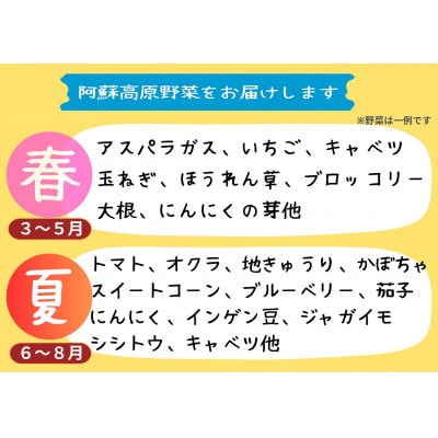 【阿蘇 郷乃舎】野菜ソムリエ上級プロ厳選 農家直送こだわり野菜 6～8品目　