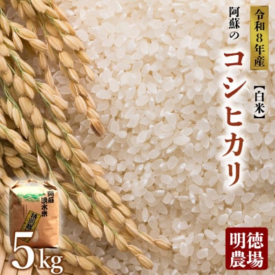 令和8年産 コシヒカリ 5kg (白米) 明徳農場