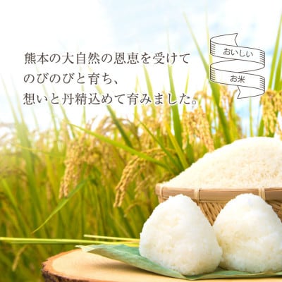 令和8年産 コシヒカリ 10kg(白米)明徳農場