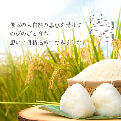 令和8年産 コシヒカリ&ミルキークイーン 2種食べ比べ (玄米) 各5kg 明徳農場