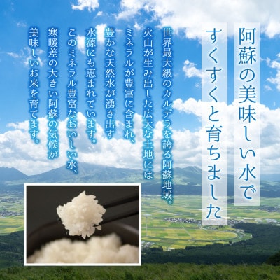 【令和8年産】ミルキークイーン 5kg (白米) (新米) 阿蘇アグロスタイル