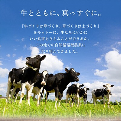 【毎月定期便】ASOMILKとのむヨーグルトの各1Lをお届け全12回