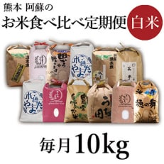 【毎月定期便】阿蘇の美味しいお米 10kg&times;全12回