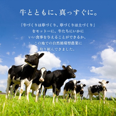 【毎月定期便】「ASOMILK1L・のむヨーグルト1L」を200ml小分けでお届け全12回
