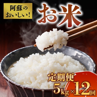 【毎月定期便】阿蘇の美味しいお米 お楽しみ便 5kg×全12回
