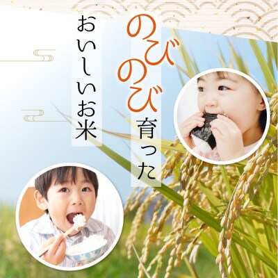 【毎月定期便】阿蘇の美味しいお米 お楽しみ便 5kg×全12回