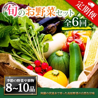 【毎月定期便】季節のお野菜セットLサイズ 旬のお野菜を厳選してお届け全6回