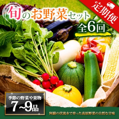 【毎月定期便】季節のお野菜セットLサイズ 旬のお野菜を厳選してお届け全6回
