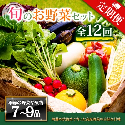 【毎月定期便】季節のお野菜セットLサイズ 旬のお野菜を厳選してお届け全12回