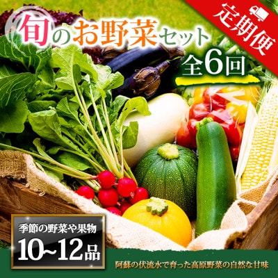 【毎月定期便】季節のお野菜セットXLサイズ 旬のお野菜を厳選してお届け全6回