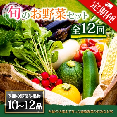 【毎月定期便】季節のお野菜セットXLサイズ 旬のお野菜を厳選してお届け全12回