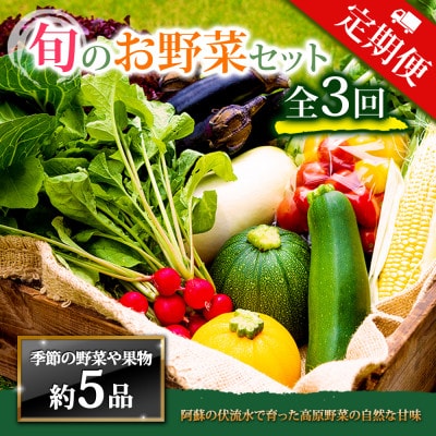 【毎月定期便】季節のお野菜セットMサイズ 旬のお野菜を厳選してお届け全3回