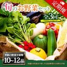 【毎月定期便】季節のお野菜セットXLサイズ 旬のお野菜を厳選してお届け全3回
