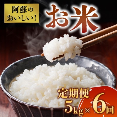 【2ヵ月毎定期便】阿蘇の美味しいお米(白米)5kg全6回