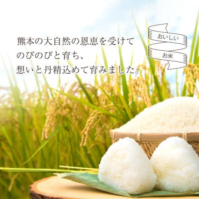 【2ヵ月毎定期便】阿蘇の美味しいお米(白米)5kg全6回