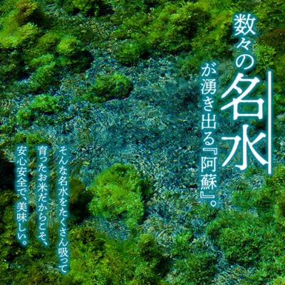 【2ヵ月毎定期便】阿蘇の美味しいお米(白米)5kg全6回