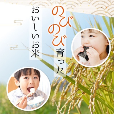 【2ヵ月毎定期便】阿蘇の美味しいお米(白米)5kg全6回