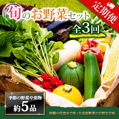【毎月定期便】季節のお野菜セットMサイズ 旬のお野菜を厳選してお届け全3回