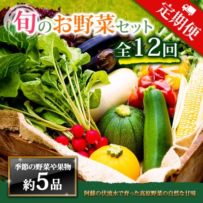 【毎月定期便】季節のお野菜セットMサイズ 旬のお野菜を厳選してお届け全12回