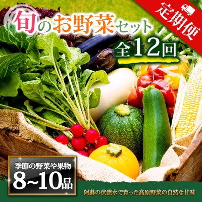 【毎月定期便】季節のお野菜セットLサイズ 旬のお野菜を厳選してお届け全12回