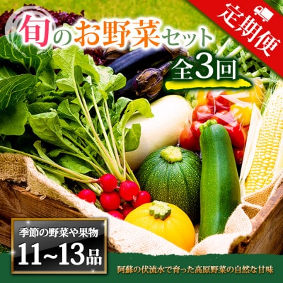 【毎月定期便】季節のお野菜セットXLサイズ 旬のお野菜を厳選してお届け全3回