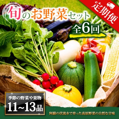 【毎月定期便】季節のお野菜セットXLサイズ 旬のお野菜を厳選してお届け全6回