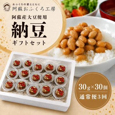 【毎月定期便】阿蘇産大豆100%手作り納豆「おふくろの味」約30g×30個全3回