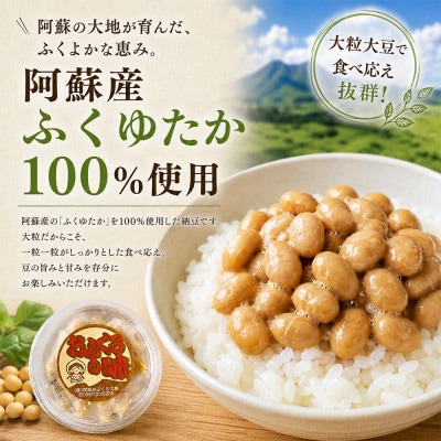 【毎月定期便】阿蘇産大豆100%手作り納豆「おふくろの味」約30g×30個全6回