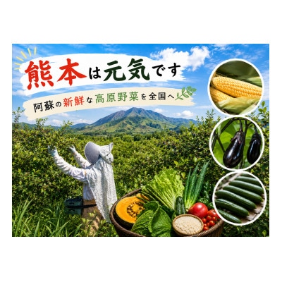 【毎月定期便】【阿蘇 郷乃舎】野菜ソムリエ上級プロ厳選 農家直送こだわり野菜 6～8品目全3回